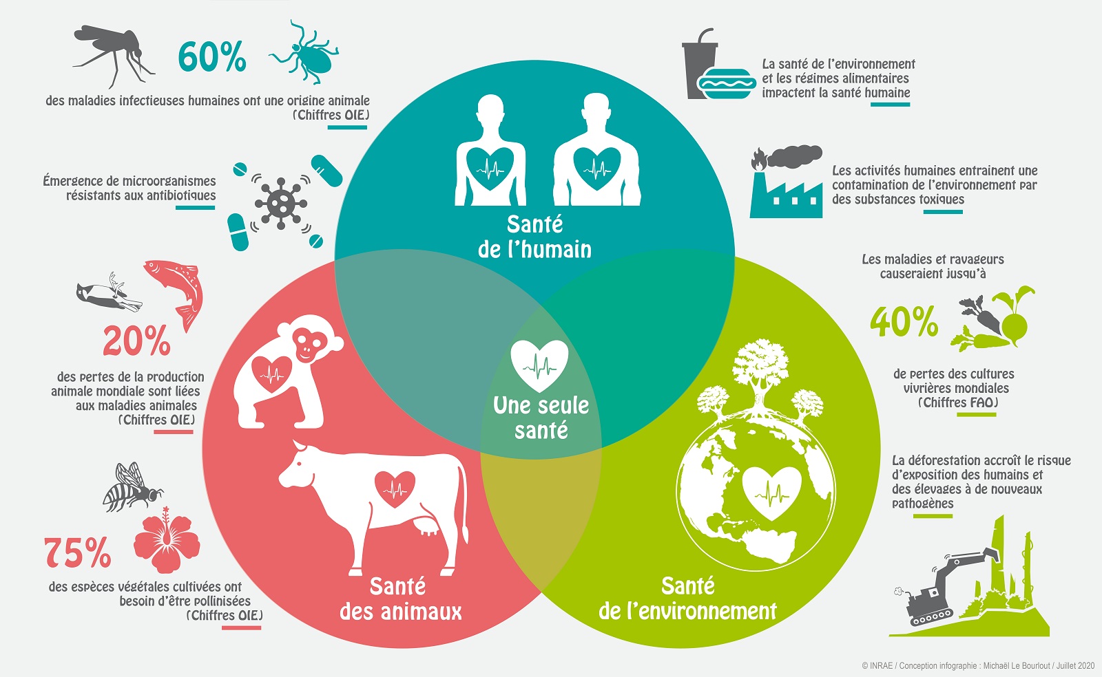 Illustration one health INRAE